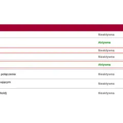 Czy w Czechach jest roaming? Kluczowe informacje, które musisz znać