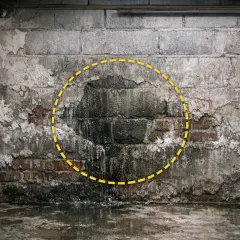 Evidente infiltrazione acqua muro con macchie scure e umidità che cola sui mattoni. La zona è evidenziata da un cerchio giallo tratteggiato.