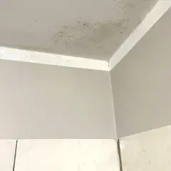 Widoczne plamy na ścianie i suficie, świadczące o obecności pleśni.
