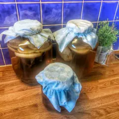 Tre burkar med kombucha på en träbänk, redo för ett nytt kombucha recept. En örtkruka står bredvid.