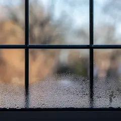 Zaparowane okna po nocy, z kroplami wody tworzącymi wzory na szybie. W tle rozmyty widok drzew.
