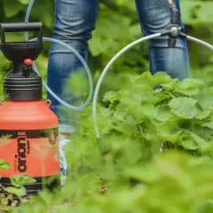 Pomarańczowy opryskiwacz w rękach osoby w dżinsach, w otoczeniu zielonych roślin.