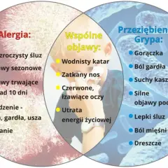 Alergia: Jak rozpoznać objawy? Kluczowe sygnały i różnice