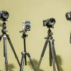 Four cameras on tripods, showcasing options for how to choose a tripod for your photography needs.