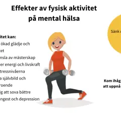 Fysisk aktivitet ger ökad glädje, energi och minskar stress. Bra personlig utveckling tips för mental hälsa!