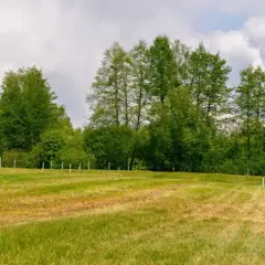 Ile kosztuje podział działki? Sprawdź, by uniknąć niepotrzebnych wydatków