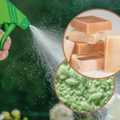 Domowy preparat na mszyce z mydła w sprayu. Zwalczanie zielonych mszyc na roślinach.
