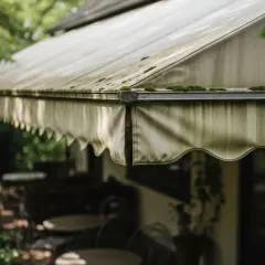 Tenda da sole con muschio e segni di lavaggio. L'esterno di un locale con tavoli e sedie visibili sotto.