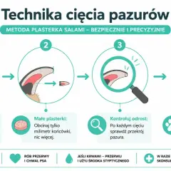 Jak obciąć psu pazury: ocena długości, małe plasterki, kontrola odrostu i powtarzanie. Bezpieczeństwo przede wszystkim!
