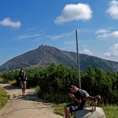 Szlak na Śnieżkę, turyści z kijkami i pies, w tle góra z budynkami.