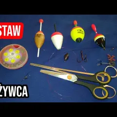 Jak wybrać spławik na żywca, aby zwiększyć swoje szanse na sukces