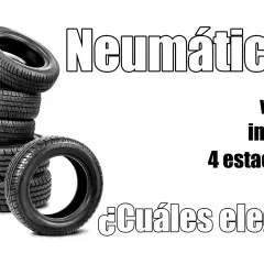 Neumáticos: ¿verano, invierno o 4 estaciones? Una pila de neumáticos y la pregunta de cuáles elegir para tu coche.