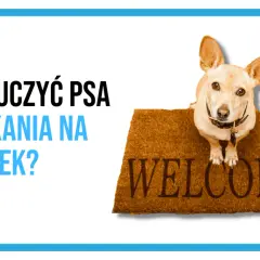 Mały piesek na wycieraczce "Welcome" sugeruje, że czas nauczyć go, by nie wymuszał szczekaniem na dzwonek.