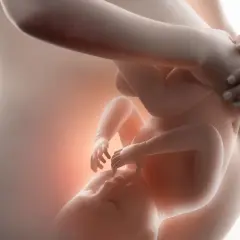 Czy dziecko w brzuchu oddycha? Odkryj tajemnice oddychania płodu