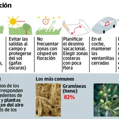 Prevención de alergias al polen de maleza: evita zonas verdes en floración, elige destinos costeros y mantén ventanas cerradas en el coche.