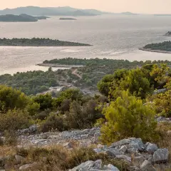 Wyspa Murter czy warto? Odkryj ukryte skarby i atrakcje tej wyspy