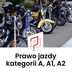 Rząd motocykli, od czarnych po żółty, gotowych na jazdę. Marzysz o prawo jazdy na motor? Kategorie A, A1, A2 czekają!