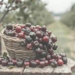 Sok z wiśni ile cukru? Odpowiednie proporcje dla idealnego smaku