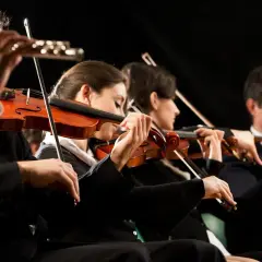 Orkiestra gra utwór, którego kompozytor z pewnością byłby dumny. Skupieni muzycy grają na skrzypcach i wiolonczeli.