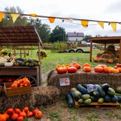 Farma dyni w Warszawie oferuje bogactwo jesiennych zbiorów. Na straganach i belach siana znajdziesz dynie, kabaczki i inne warzywa.