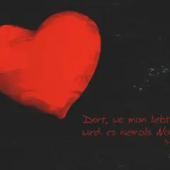 Ein leuchtend rotes Herz auf schwarzem Grund. "Dort, wo man liebt, wird es niemals Nacht." Ein Zitat, das zeigt, du hast ein großes Herz.