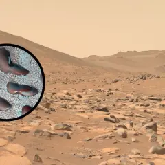 Zbliżenie na powierzchni Marsa ukazuje ślady, które mogą sugerować mars życie. Krajobraz Czerwonej Planety z kamieniami i piaskiem.