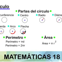 Ilustración de las partes de la circunferencia: centro, radio, diámetro, cuerda, arco y flecha, junto con fórmulas de perímetro y área.