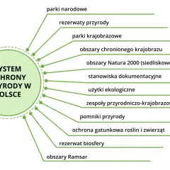 Schemat systemu ochrony przyrody w Polsce z wypisanymi 9 kluczowymi typami.
