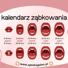 Twój przewodnik: Kiedy wychodzą zęby i jak przetrwać ząbkowanie?