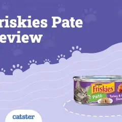 Friskies Pate Review: Is Friskies a good cat food? This image shows a can of Friskies Turkey & Giblets Dinner pate with a cat looking at it.