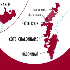 Carte des vignobles de Bourgogne, montrant Chablis, Côte d'Or (avec Côte de Nuits et Côte de Beaune), Côte Chalonnaise et Mâconnais. 28 000 hectares dédiés au Chardonnay et Pinot Noir, des terroirs d'exception pour un grand cru.