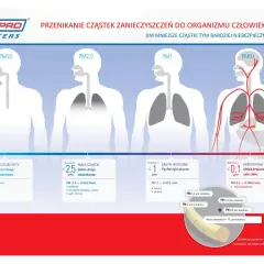 PM2.5 co to? Ilustracja pokazuje, jak cząstki zanieczyszczeń o różnej wielkości (PM10, PM2.5, PM1, PM0.1) przenikają do organizmu człowieka, od dróg oddechowych po układ krwionośny.