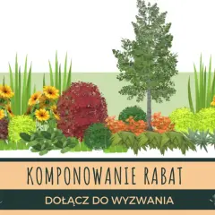 Inspiracja do stworzenia pięknych rabat. Kompozycje roślinne z drzewem, krzewami i kwiatami.