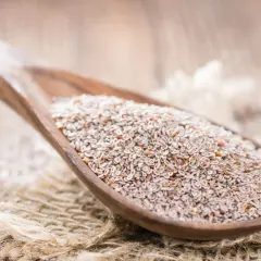 Łyżka pełna babki jajowatej, czyli nasionek babki płesznik. To naturalny sposób na zdrowie.