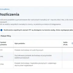 Widok rozliczeń podatkowych w e-Urzędzie Skarbowym. Można tu sprawdzić zaliczki na podatek dochodowy PIT, PPE, PPW.