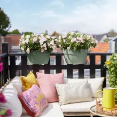 Zwei grüne Übertöpfe mit zarten rosa Blüten, die sich über einen Balkonzaun lehnen. Daneben eine üppige Pflanze mit gelben und weißen Blüten. Perfekte balkonpflanzen pflegeleicht für eine entspannte Oase.