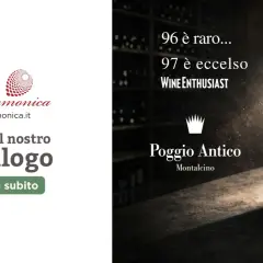 Bottiglia di vino Poggio Antico, un vino tipico di Verona, con etichetta "vigna i poggi". Scopri il catalogo Philarmonica.