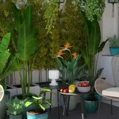 Zielony, bujny balkon z rattanowymi meblami, roślinami i kwiatami rajskiego ptaka.