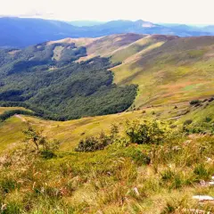Widok na połoniny Bieszczadów, w oddali majaczy Tarnica. Zielone wzgórza i lasy, ścieżka turystyczna.