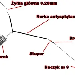 Jak złowić lina? Przynęty, zanęty i taktyka Mój sprawdzony sposób