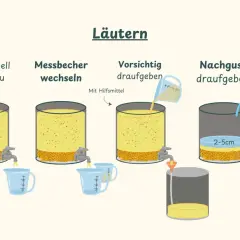 Illustration zeigt Schritte des Läuterns: Maische, Malz und mehr werden in Behältern verarbeitet. Flüssigkeit wird abgelassen und mit Hilfsmittel aufgegossen.