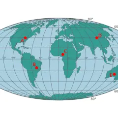 Mapa świata z zaznaczonymi punktami A-E, ilustrująca różne kierunki świata i położenie geograficzne.