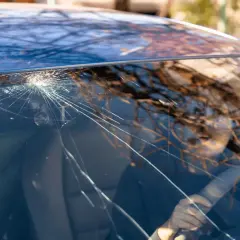 Un parabrezza rotto mostra una ragnatela di crepe che si irradiano da un punto d'impatto. Riflessi di alberi e una persona al volante sono visibili attraverso il vetro danneggiato.