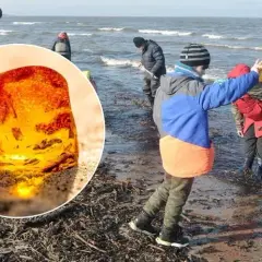 Gdzie szukać bursztynu w Kołobrzegu? Odkryj najlepsze miejsca i porady