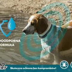 Jak działa obroża antykleszczowa i jak skutecznie chroni Twojego psa