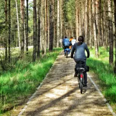 Grupa rowerzystów przemierza leśną ścieżkę, odkrywając urok kaszubskiej marszruty.