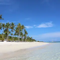 Rajska plaża w Punta Cana, z palmami i turkusową wodą, idealne miejsce na relaks i odkrywanie atrakcji.