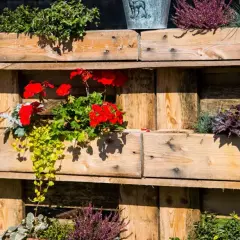Sichtschutz aus Paletten mit bunten Blumen und Heidekraut. Eine kreative und natürliche Gartengestaltung.