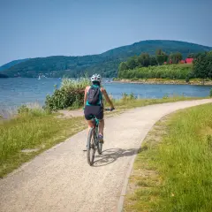 Kobieta na rowerze przemierza malownicze trasy rowerowe na Śląsku, wzdłuż jeziora, podziwiając zielone wzgórza.