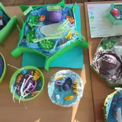 Jak wykonać model komórki roślinnej - krok po kroku z materiałami